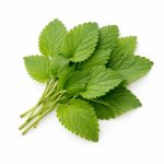 Aldeléna Citromfű Illóolaj